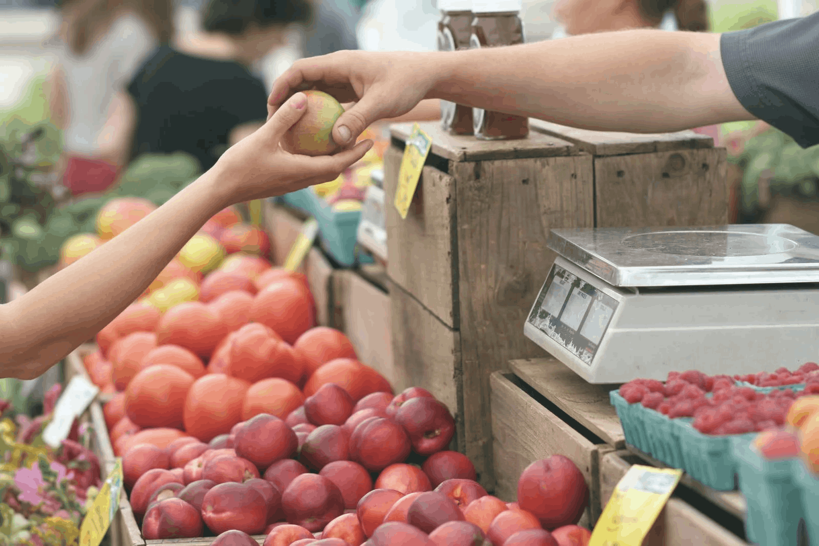 Walmart: Descubra Cómo Solicitar Empleo
